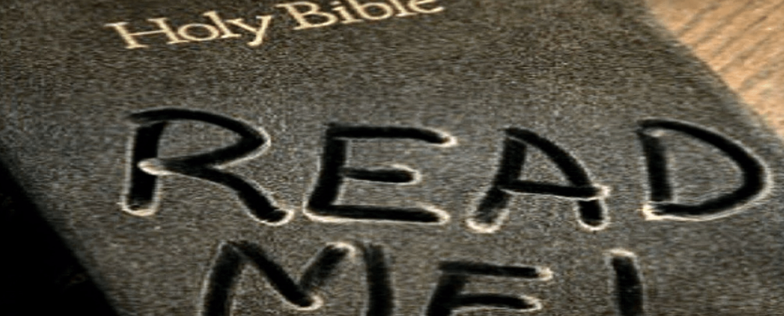Bible Reading is Fun…Isn’t it?